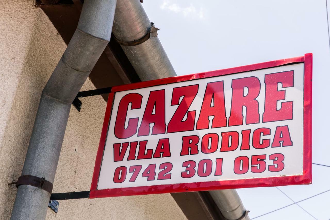 Vila Rodica Transalpina Şugag Exterior foto